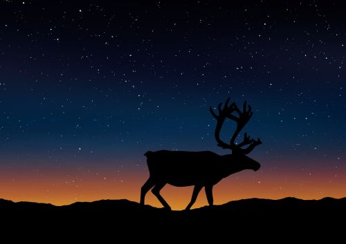 deer silhouette landscape