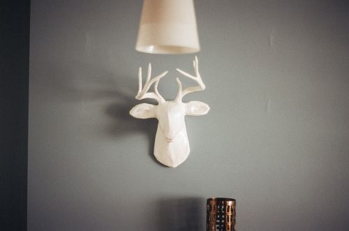 deer antlers mount
