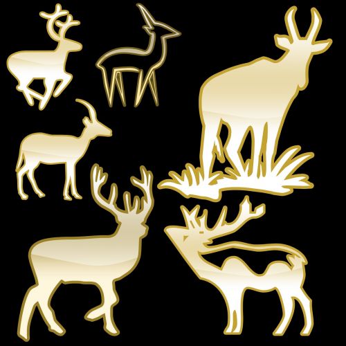 deer animals horn
