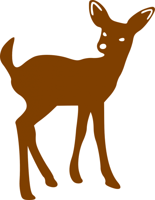 deer fawn bambi