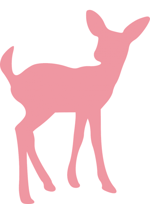 deer fawn wildlife