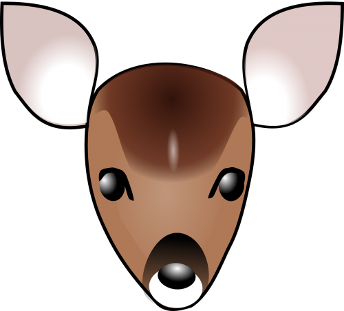 deer fawn face