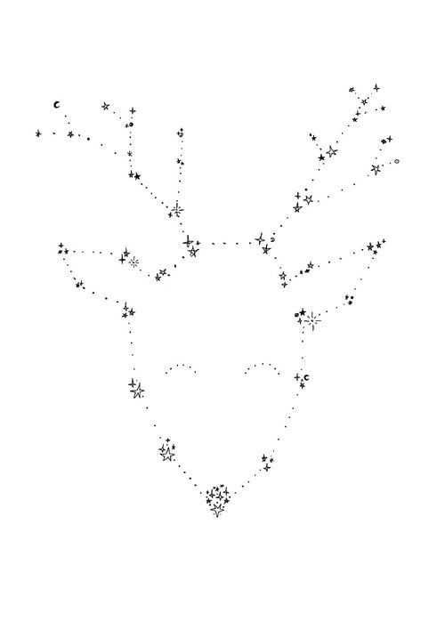 deer  constellation  stars