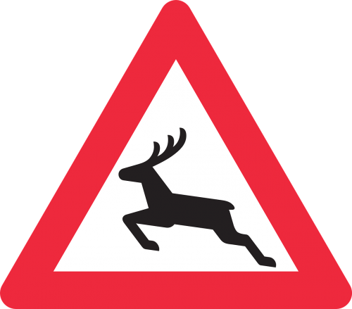 deer triangle road
