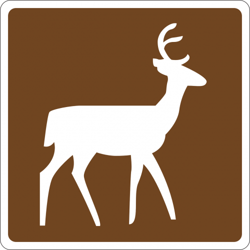 deer information area