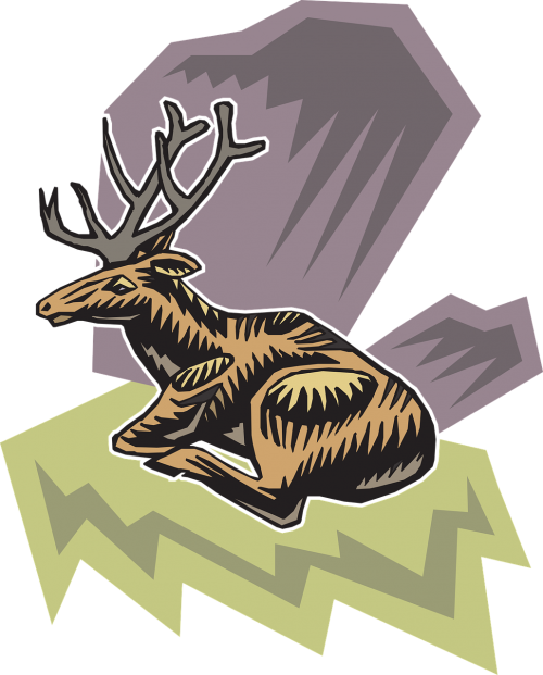 deer style wild