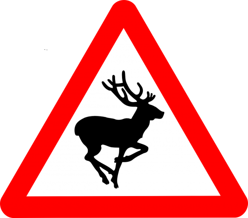 deer warning signs