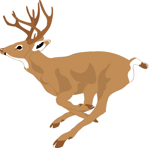 deer run side