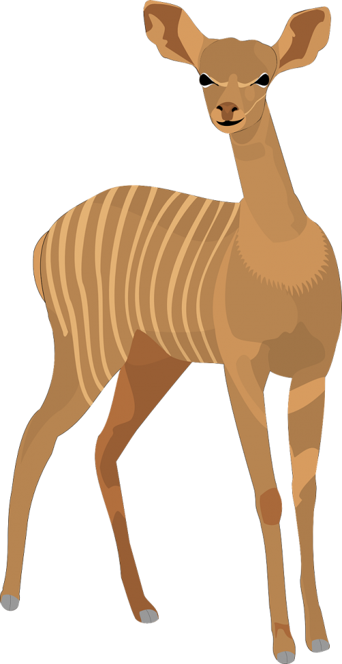 deer brown stripes