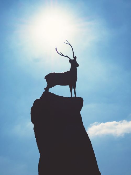deer statue silhouette