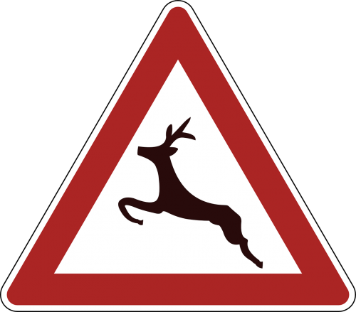 deer crossing danger warning