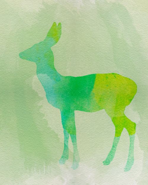 Deer Watercolour Painting