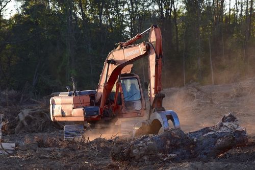deforestation machine truck