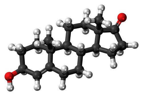 dehydroepiandrosterone steroid molecule