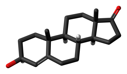 dehydroepiandrosterone steroid molecule