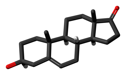 dehydroepiandrosterone androstenolone chemistry