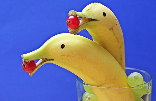 delfin bananas banana dolphin bananas
