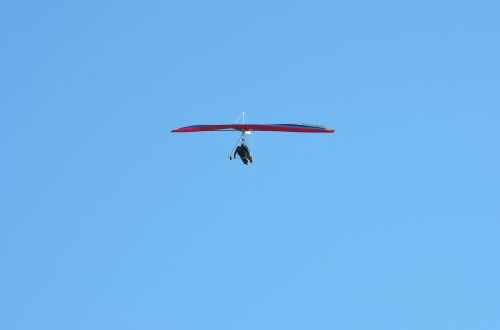 delta-flying paragliding adventure bums