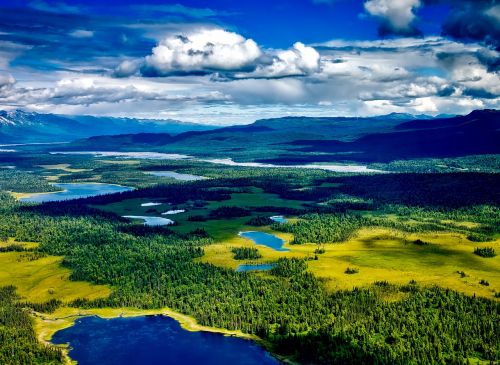 denali national park alaska aerial view