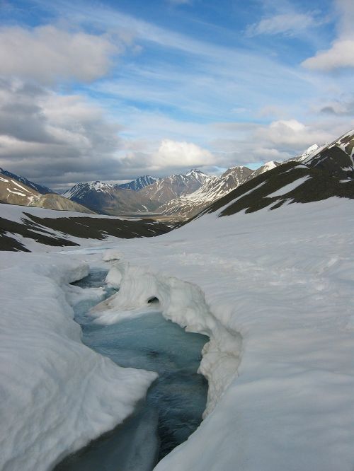 denali national park alaska winter