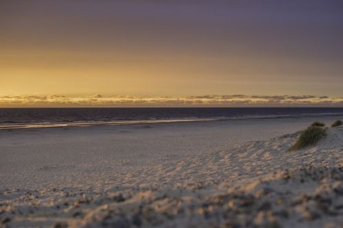 denmark jutland danish coast landscape