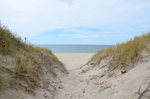 denmark beach north sea