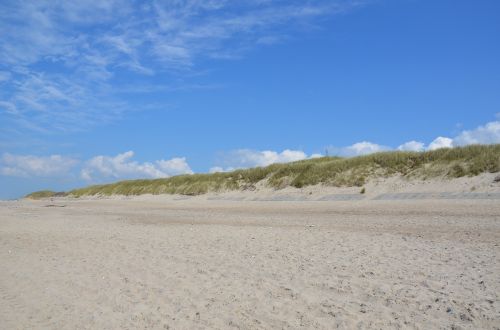 denmark beach dunes