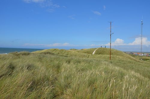 denmark north sea dunes