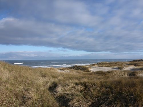 denmark henne strand dunes