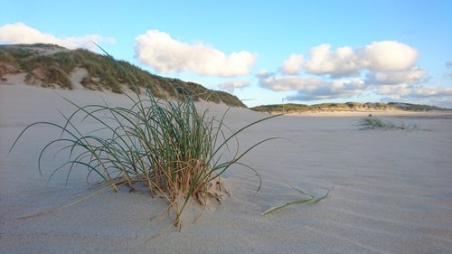 denmark  dunes  sea
