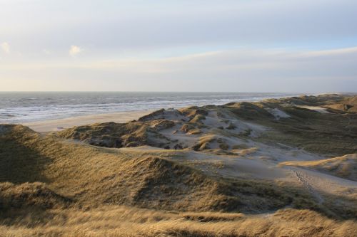 denmark north sea dune