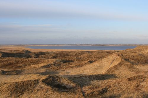 denmark fjord dune