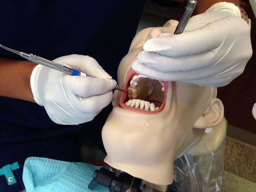 dental assisting  mannequin  head