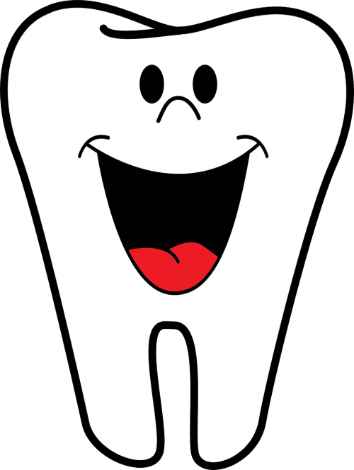 dentist teeth tooth