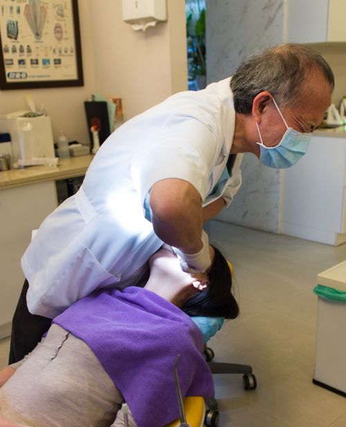 dentist medical dental