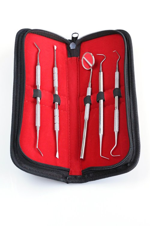 dentistry  tooth  set