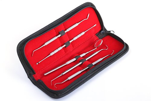 dentistry  tooth  set