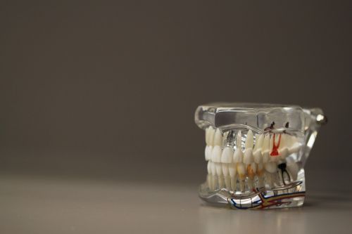 dentistry dentals teeth