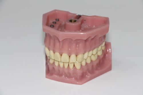 dentures art dentures put the bite