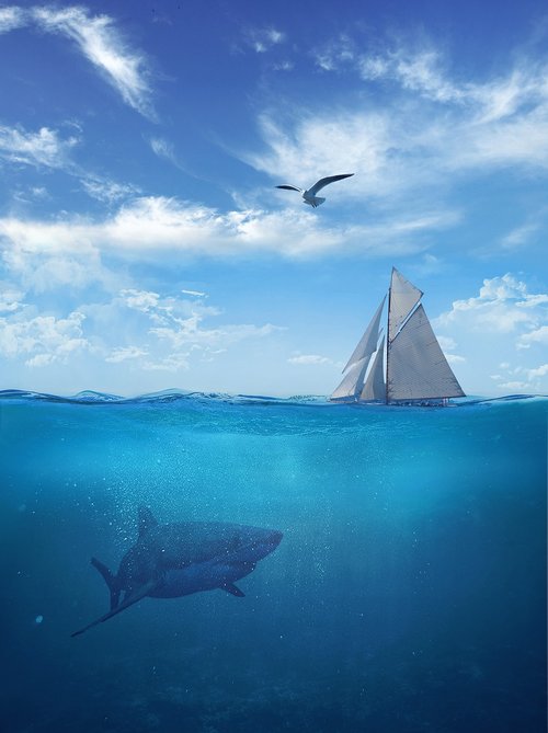 depth  shark  sail