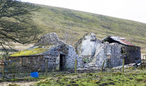 Derelict Cottage