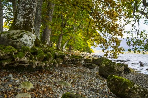 Derwent Water Walk