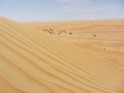 desert oman sand