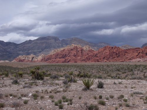 desert nevada las vegas