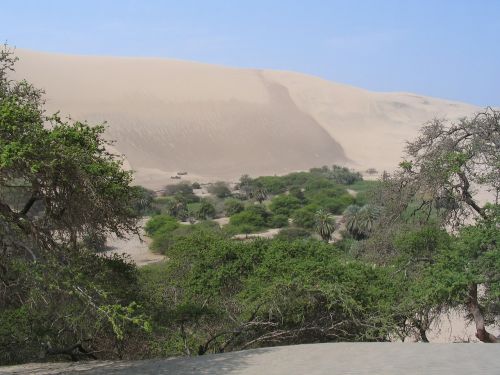 desert peru oasis