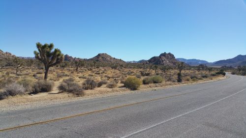 desert winding road dry