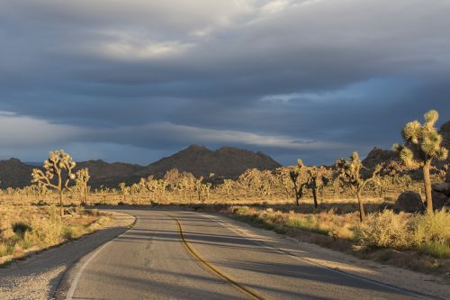 desert winding highway landscape