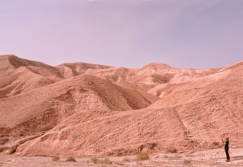 desert israel roche