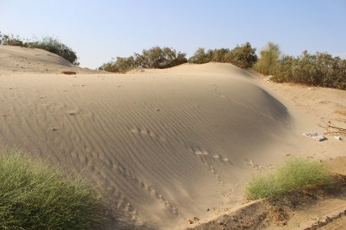 desert sand jeddah