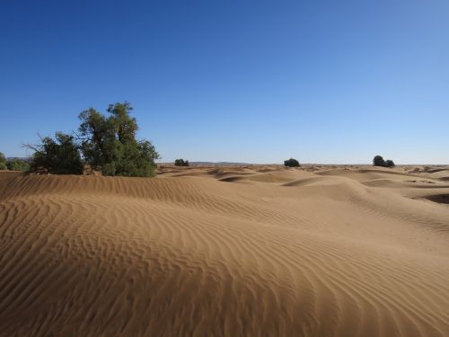 desert sand morocco